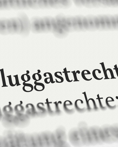 Vorlage Forderung Entschädigung bei Flugannullation