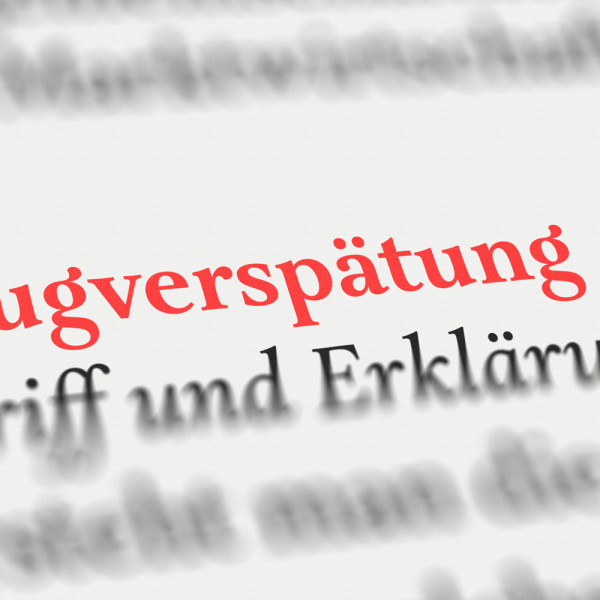 Vorlage Forderung Entschädigung bei Flugverspätung
